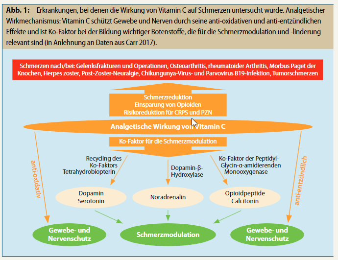 Wirkung von Vitamin C auf Schmerzen