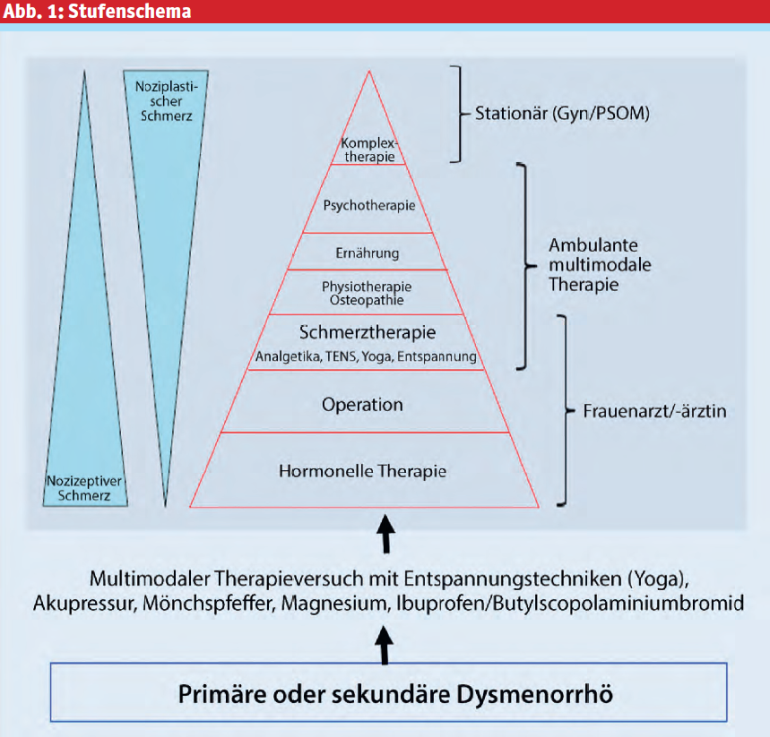 Gyn: Gynäkologie, PSOM: Psychosomatik, TENS: transkutane elektrische Nervenstimulation (modifiziert nach Mechnser S, 2021).